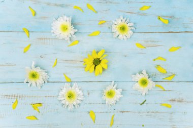 Bahar konsepti: Çiçek düzlüğü kompozisyonu, çiçek yaprağı ahşap zemin üzerinde