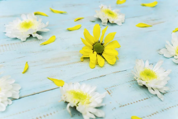 Concepto Primavera Pétalo Flores Sobre Fondo Madera —  Fotos de Stock