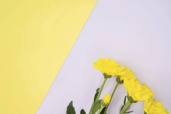 Spring Concept Flowers Flat Lay Yellow Purple Background Copy Space — Stock Photo, Image