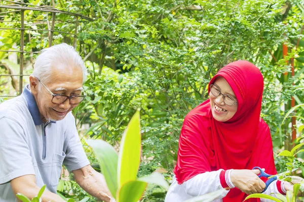 Potret Pasangan Senior Yang Bahagia Berkebun Bersama Kebun Belakang — Stok Foto