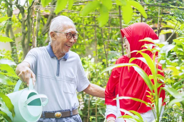 Retrato Atraente Casal Sênior Jardinagem Rindo Juntos Jardim Quintal — Fotografia de Stock