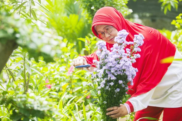 Kıdemli Müslüman Kadın Bahçede Makasla Çiçek Kesiyor — Stok fotoğraf