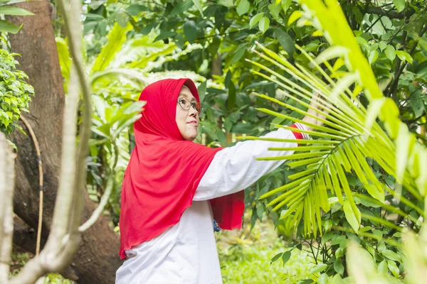 Feliz Mujer Musulmana Mayor Mirando Planta Verde Jardín Del Patio —  Fotos de Stock