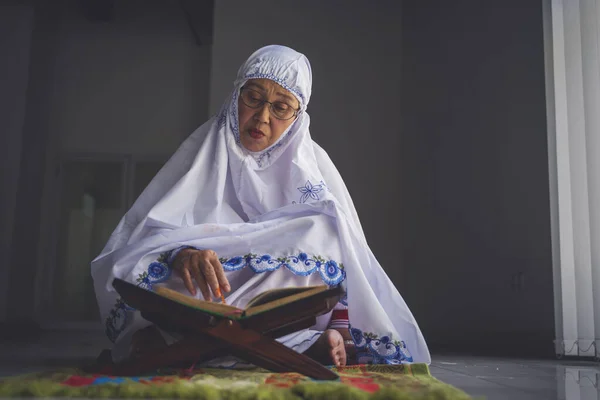 Porträt Einer Älteren Muslimischen Frau Die Quran Liest Während Sie — Stockfoto