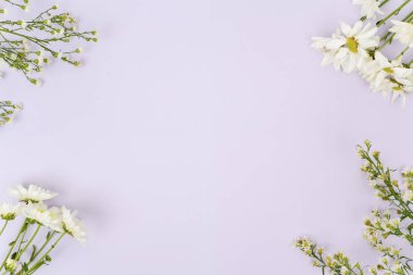 Bahar konsepti: yabani çiçekler ve mor arkaplan üzerindeki kopya alanı
