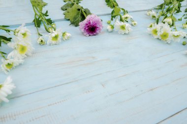 Ahşap zemin üzerinde kopya alanı olan Gerbera çiçek sınırına yakın plan