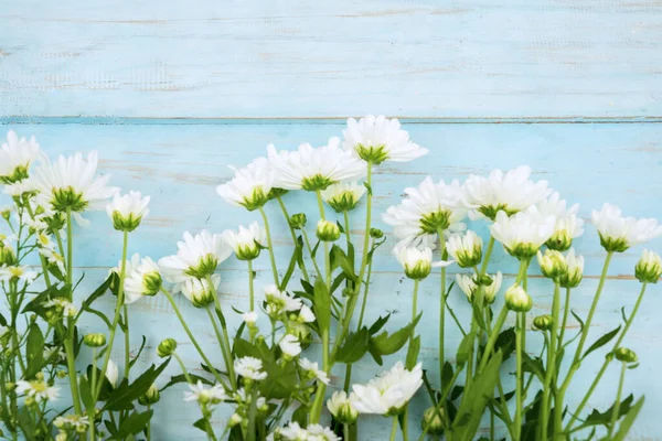 Platt Läggning Vit Kamomill Blomma Blå Trä Bakgrund — Stockfoto