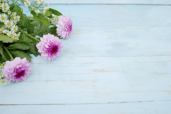 Platt Läggning Vackra Gerbera Blomma Med Rosa Och Vit Färg — Stockfoto