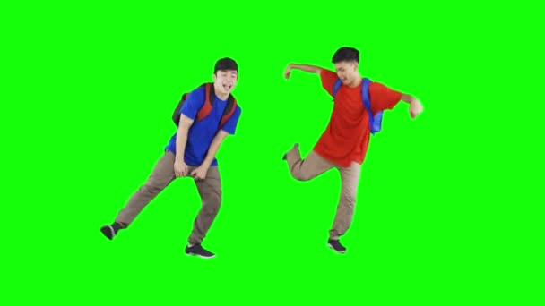 Two Young Men Performing Hip Hop Dance Studio — Stock Video