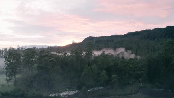 Hermoso Paisaje Aéreo Niebla Sobre Plantación Mañana Brumosa Pangalengan Bandung — Vídeos de Stock