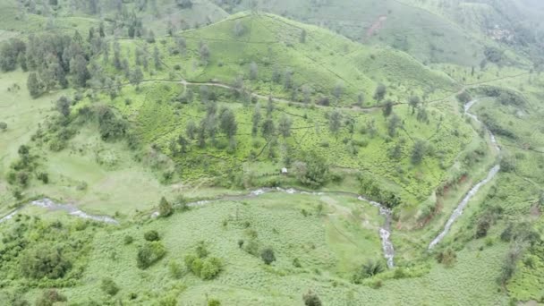 Krásná Vzdušná Krajina Mlhy Nad Čajovou Plantáží Mlhavého Rána Pangalengánu — Stock video