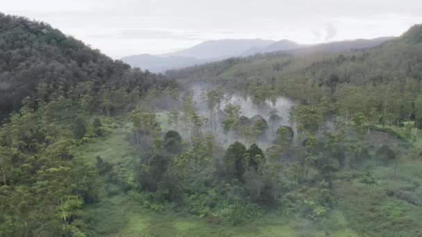 多雾的高山上美丽的空中景观 — 图库视频影像