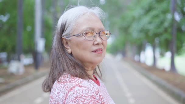 年配の女性の肖像 幸せな高齢者の女性が公園に立つ — ストック動画