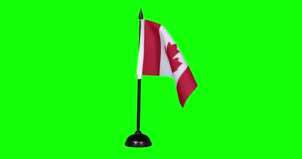 Bandeira Miniatura Canadá Balançando Mastro Bandeira Fundo Verde — Vídeo de Stock