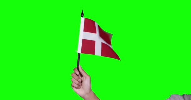 Main Inconnue Brandissant Drapeau Danemark — Video