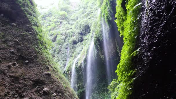 Video Hermosa Cascada Madakaripura — Vídeos de Stock