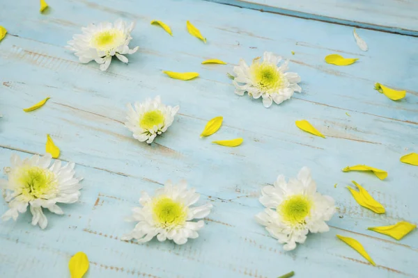 Primer Plano Pétalo Flor Margarita Blanca Sobre Fondo Madera —  Fotos de Stock