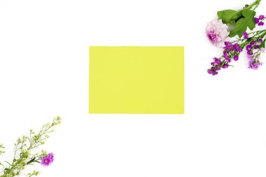 Beyaz arka planda izole edilmiş, boş kağıt ve renkli çiçeklerin düz yatağı