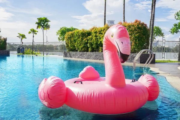 Portrait Pink Flamingo Float Swimming Pool — Stock Photo, Image