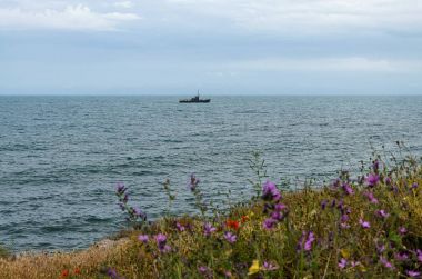 Bir deniz, mavi gökyüzü ve denizin ile zırhlı askeri Donanma gemileri.