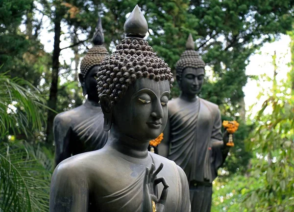 Статуя Будды в лесу. Чианчжоу и Таиланд — стоковое фото