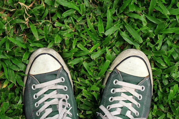 Deporte zapatillas de deporte desde una vista aérea en el campo de hierba, Verde, Vista superior . —  Fotos de Stock