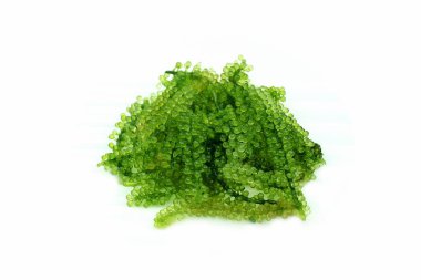 Yosun Salata, Oval üzüm deniz yosunu. Sağlıklı gıda.