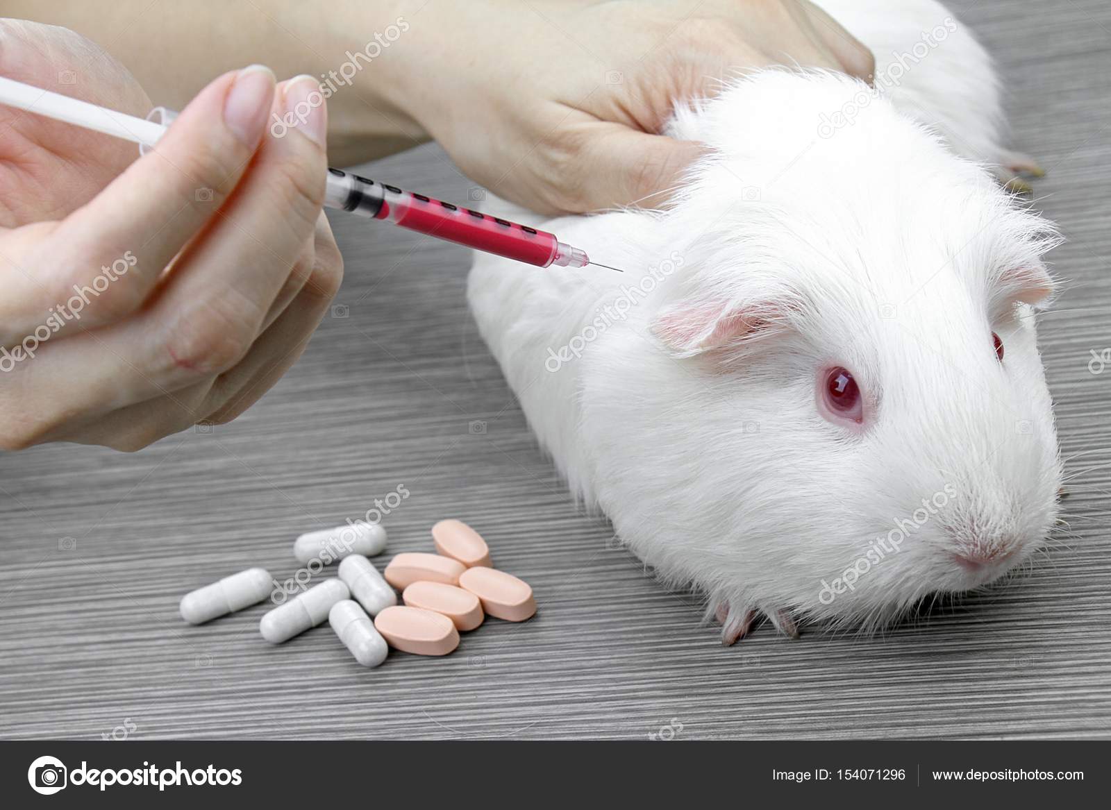 Tests von Medikamenten und Impfstoffen an einer Maus, Versuchstieren