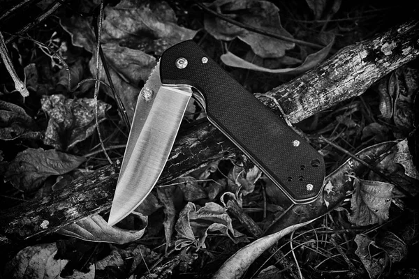 Combat Knife in forest, Army knife in the jungle.