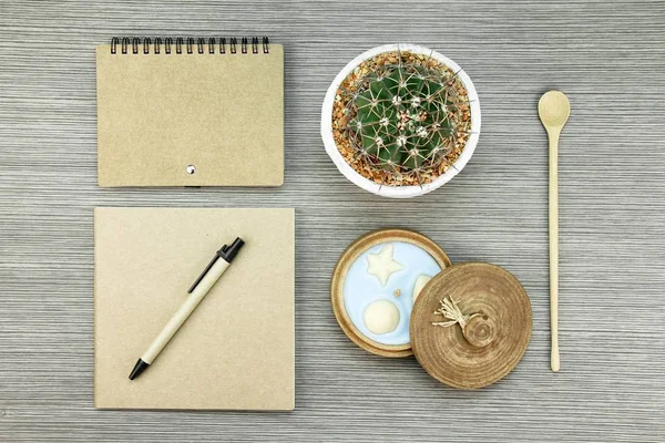 Brown paper stationeries and cactus. Good plant for improving office air environment. — Stock Photo, Image
