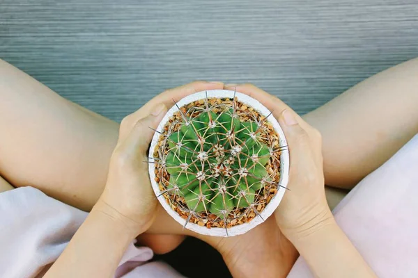 Emberi kezében növény (kaktusz), kivéve a bolygó koncepció. — Stock Fotó