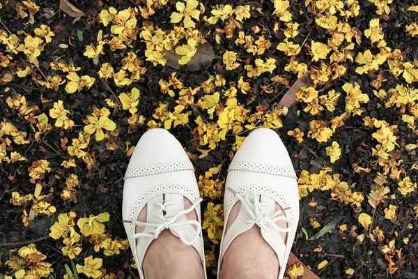Kadınlar oxford deri ayakkabılar topraklarında, keşfetmek dünya kavramı. — Stok fotoğraf