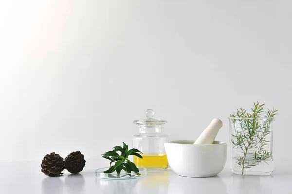 Doğal organik botanik ve bilimsel Züccaciye Mağazaları, alternatif bitki tıp, Doğal Cilt Bakımı güzellik ürünleri, araştırma ve geliştirme kavramı.