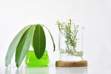 Doğal organik botanik ve bilimsel Züccaciye Mağazaları, alternatif bitki tıp, Doğal Cilt Bakımı güzellik ürünleri, araştırma ve geliştirme kavramı.