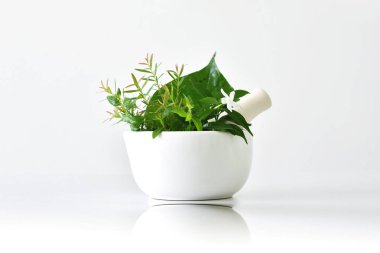 Alternatif bitkisel tıp, botanik otlar şifa ile harç