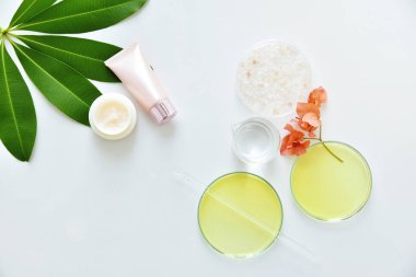 Mock-up, doğal güzellik ürün kavramı marka için boş etiket hammadde, kozmetik şişe kapları ile cilt bakım.