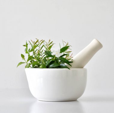 Alternatif bitkisel tıp, botanik otlar şifa ile harç