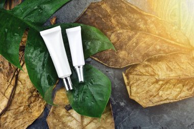 Nemlendirici Cilt Bakımı hasar için kuru cilt, kozmetik şişe kapsayıcılar, mock-up, doğal organik güzellik ürün kavramı marka için boş etiket paketi.