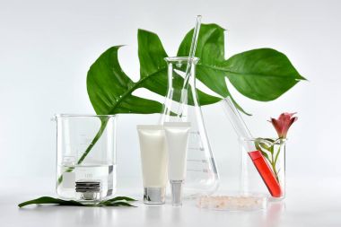 Yeşil bitkisel yapraklı kozmetik şişe kapları ve bilimsel cam eşyalar, markalaştırma, araştırma ve doğal organik güzellik ürünleri konseptini geliştirmek için boş etiket paketi..