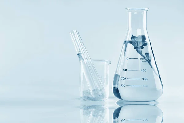 Doğal organik çıkarma ve yeşil bitki yaprakları, çiçek aroması özü çözüm laboratuvar. 