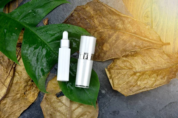Recipientes de garrafa cosmética com folhas de ervas verdes, etiqueta em branco para marcar o modelo, conceito de produto de beleza natural — Fotografia de Stock