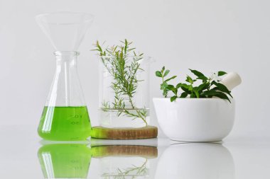 Doğal organik botanik ve bilimsel Züccaciye Mağazaları, alternatif bitki tıp, doğal cilt bakımı kozmetik güzellik ürünleri, araştırma ve geliştirme kavramı. (Seçici odak)