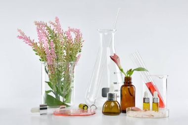 Yeşil bitkisel yapraklı kozmetik şişe kapları ve bilimsel cam eşyalar, markalaştırma, araştırma ve doğal organik güzellik ürünleri konseptini geliştirmek için boş etiket paketi..