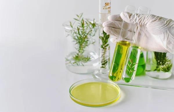 Sviluppo di medicina naturale in laboratorio, Ricerche scientifiche e sperimentazione estrazione di erbe verdi . — Foto Stock