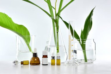 Yeşil bitkisel yapraklı kozmetik şişe kapları ve bilimsel cam eşyalar, markalaştırma, araştırma ve doğal organik güzellik ürünleri konseptini geliştirmek için boş etiket paketi..