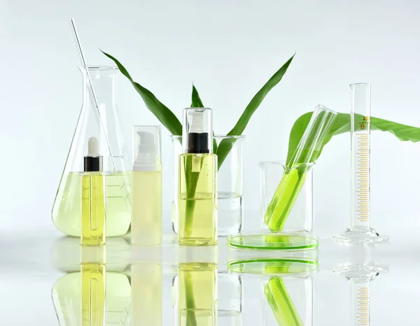 Récipients de bouteille cosmétique avec feuilles de plantes vertes et verrerie scientifique, Emballage d'étiquette vierge pour la maquette de marque, Recherche et développement du concept de produit de soins de beauté bio naturel. — Photo