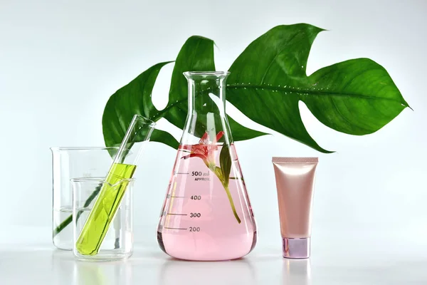 Natürliche Hautpflege-Kosmetikprodukte, natürliche Extraktion aus biologischer Botanik und wissenschaftliche Gläser, Blanko-Etikett-Kosmetikbehälter für Branding-Mock-Up. — Stockfoto