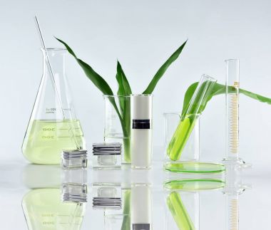 Yeşil bitkisel yapraklı kozmetik şişe kapları ve bilimsel cam eşyalar, markalaştırma, araştırma ve doğal organik güzellik ürünleri konseptini geliştirmek için boş etiket paketi..