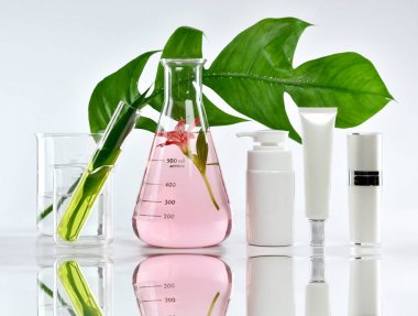 Yeşil bitkisel yapraklı kozmetik şişe kapları ve bilimsel cam eşyalar, markalaştırma, araştırma ve doğal organik güzellik ürünleri konseptini geliştirmek için boş etiket paketi..