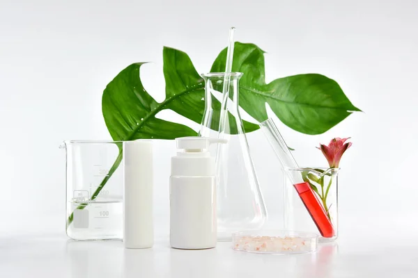 Kozmetikai palack konténerek zöld gyógynövény levelek és tudományos üvegáruk, Üres címke csomag márkanév makett, Kutatás és fejleszteni természetes organikus szépség bőrápoló termék koncepció. — Stock Fotó